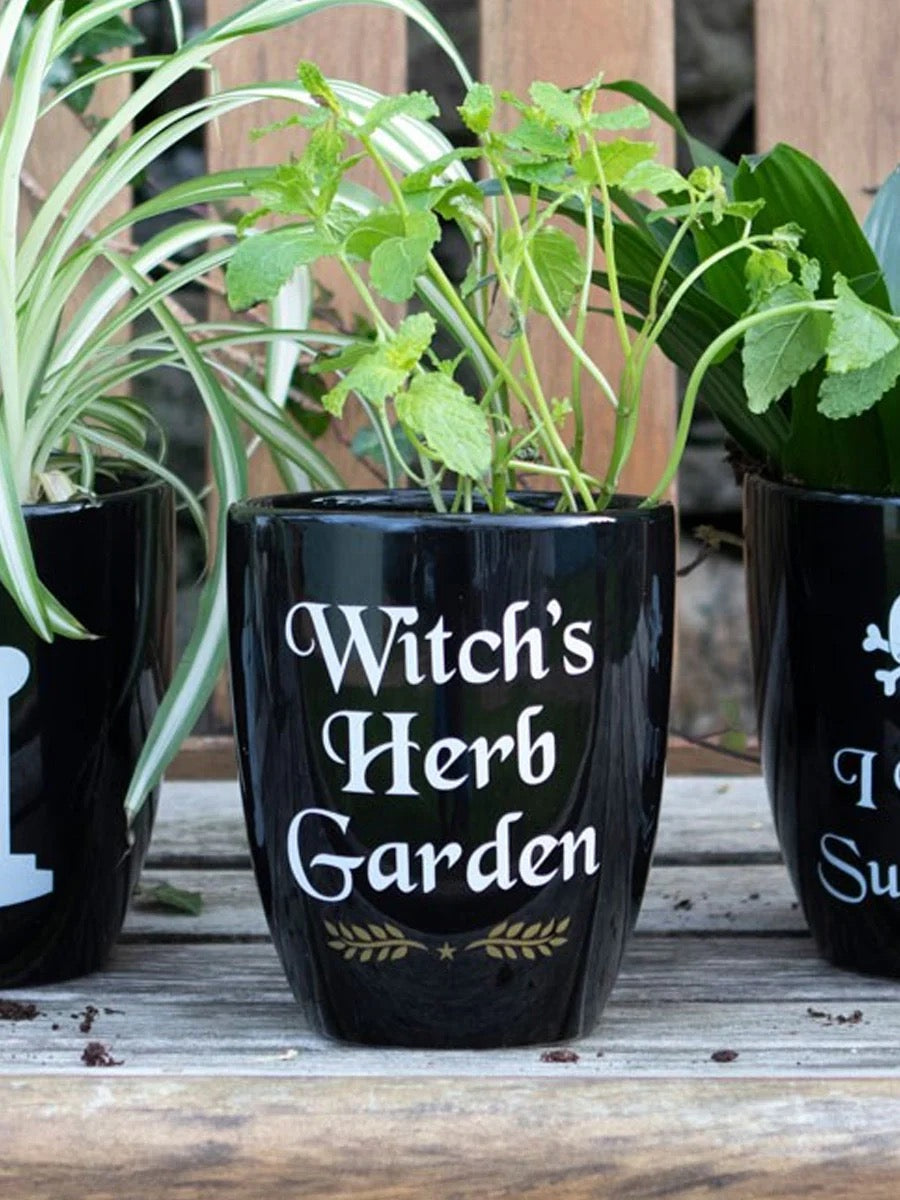 Witches Herb Garden Plant Pot